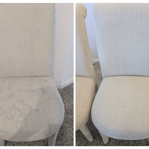 Upholstery and Furniture Cleaning