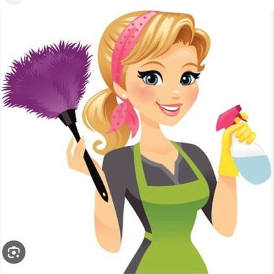 Avatar for shiny house cleaning