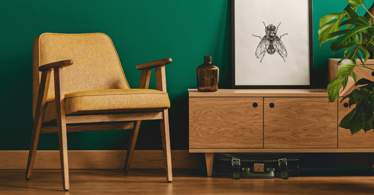 chair and shelving system in front of green wall