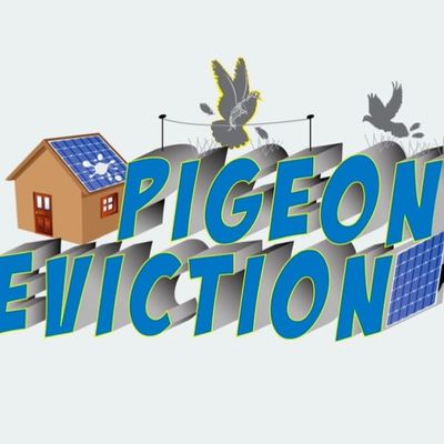 Avatar for Pigeon Eviction Llc