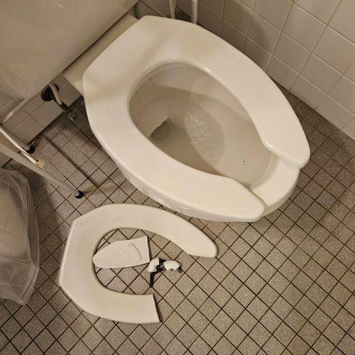 toilet seat replacement