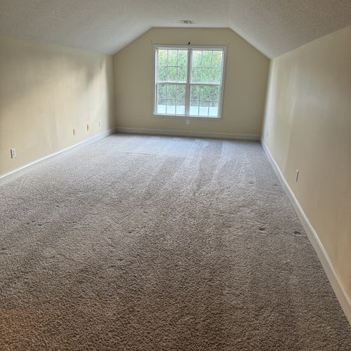 Carpet Cleaning