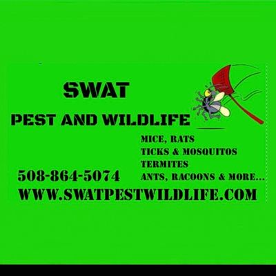 Avatar for Swat Pest And Wildlife