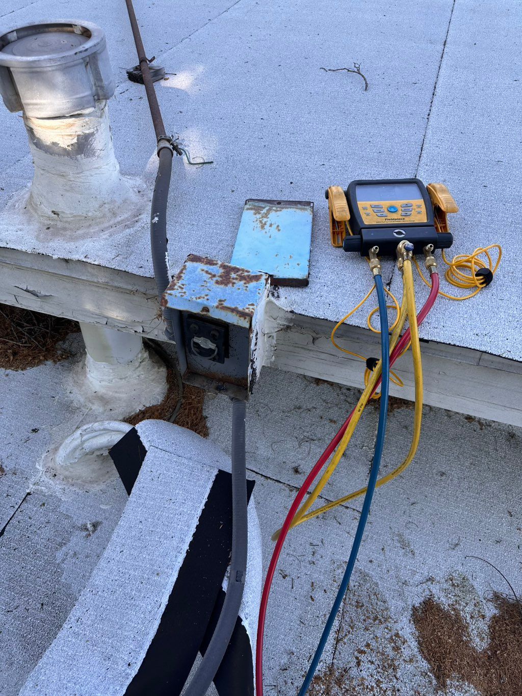 Projects and media