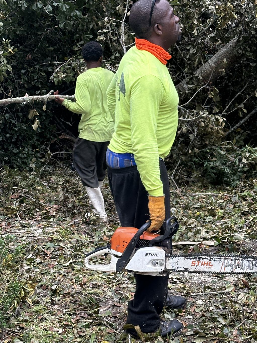 Tree Trimming and Removal