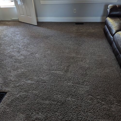 Justin has done an excellent job on our carpet. He