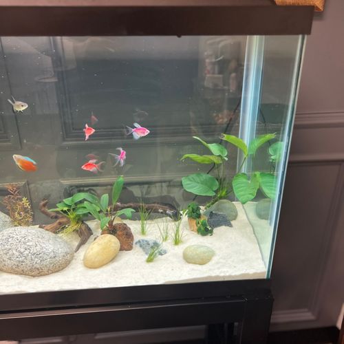 Aquarium Services