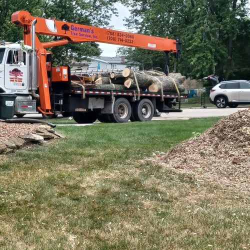 German's tree Services