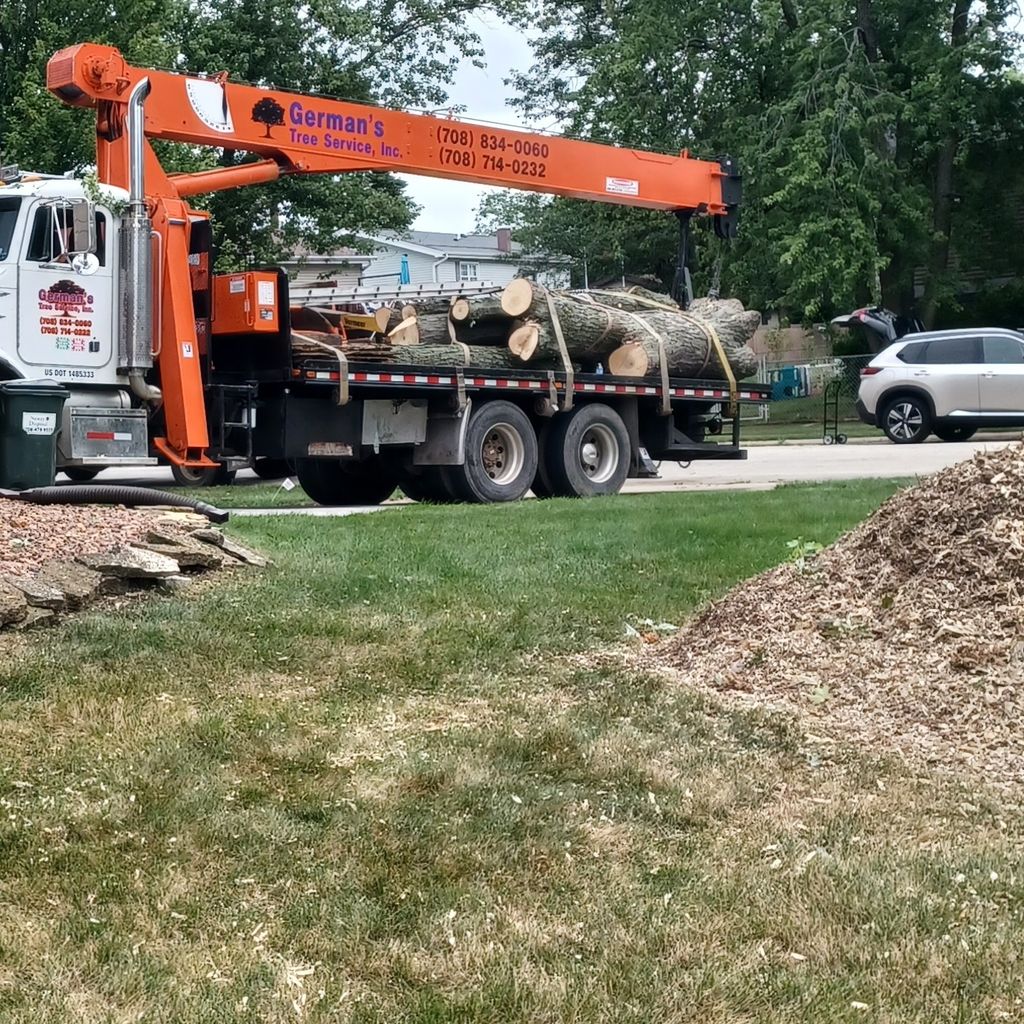 German's tree Services