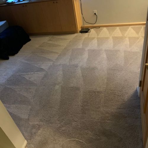 Carpet Cleaning