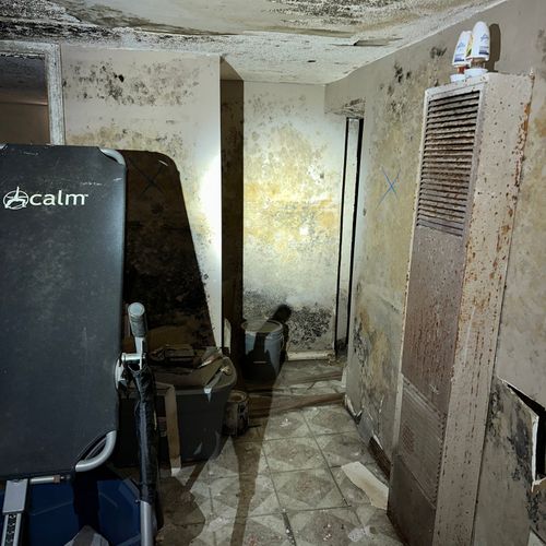 Severe Mold Growth