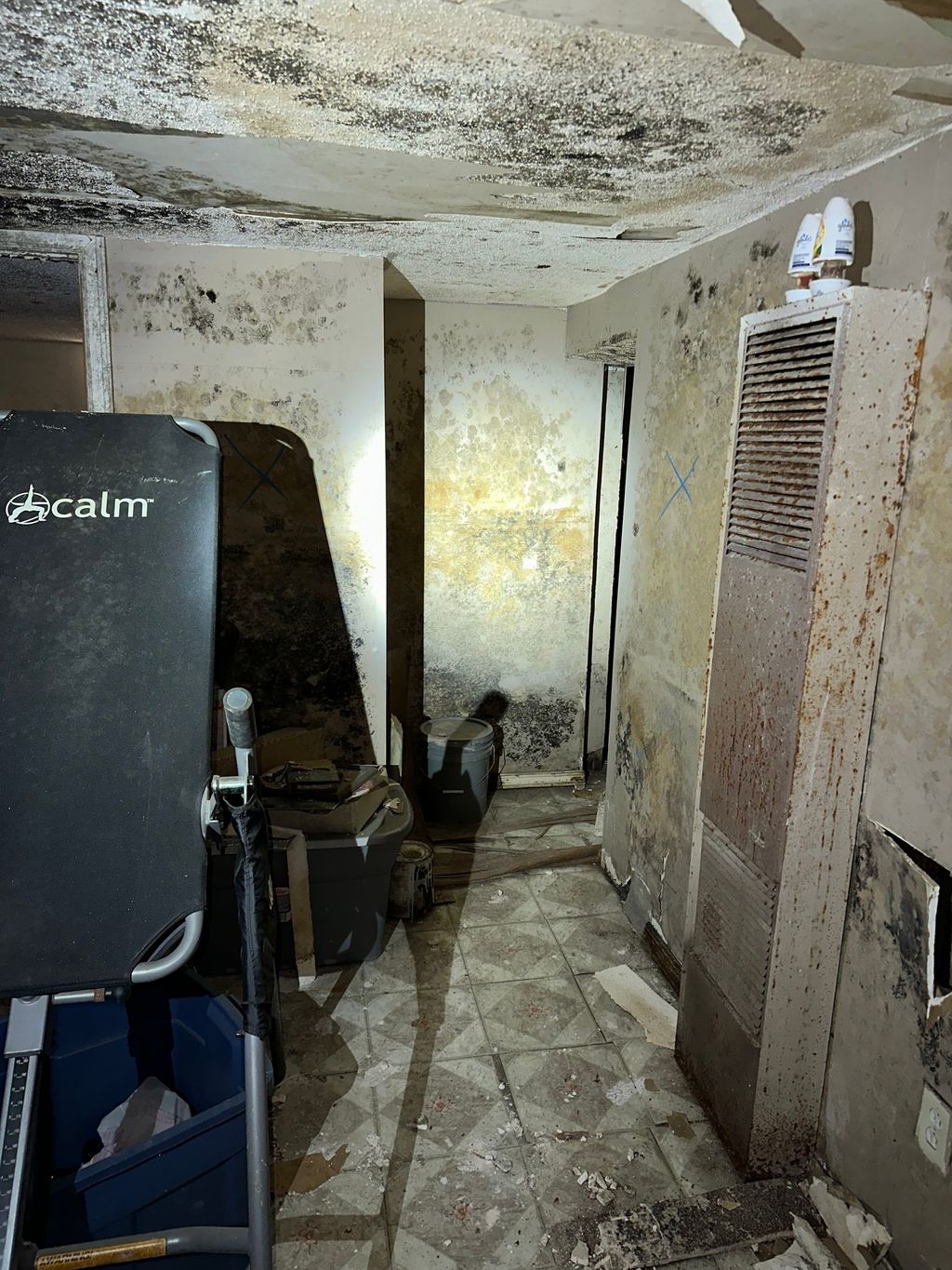 Severe Mold Growth