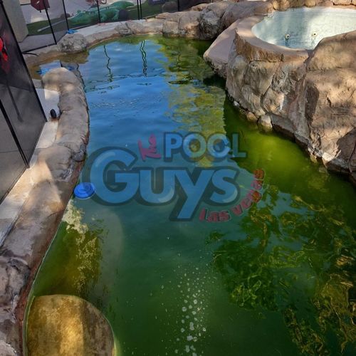 Swimming Pool Cleaning, Maintenance, and Inspection