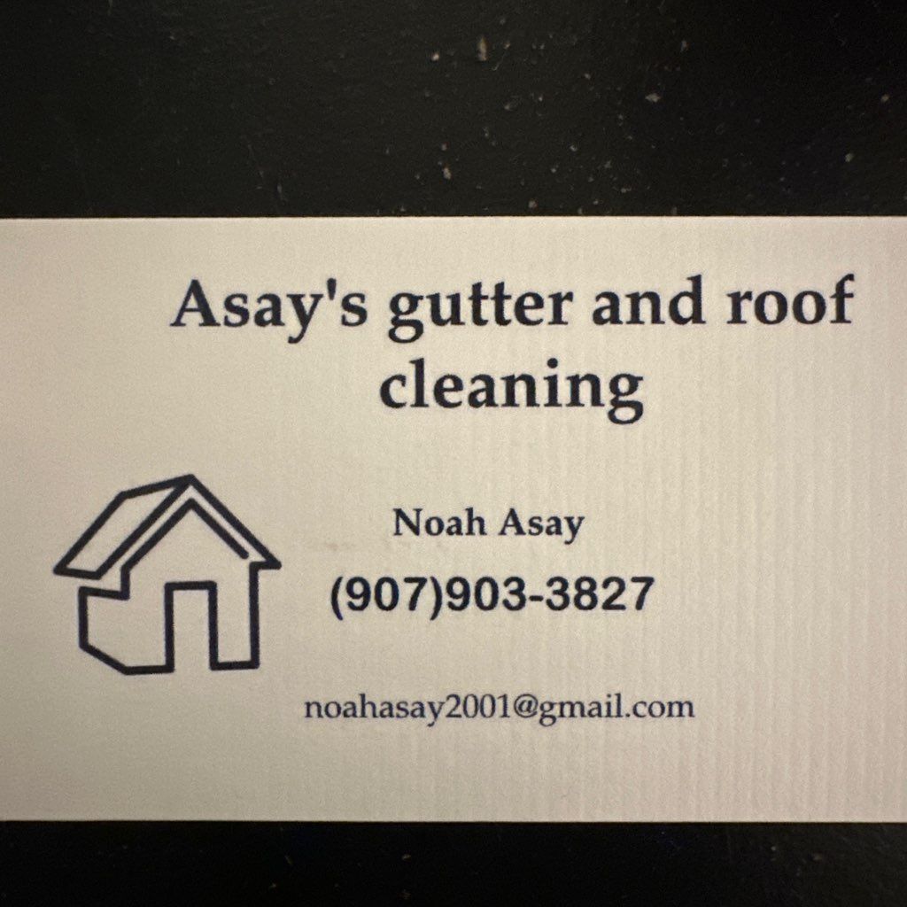 Asay gutter and roof cleaning