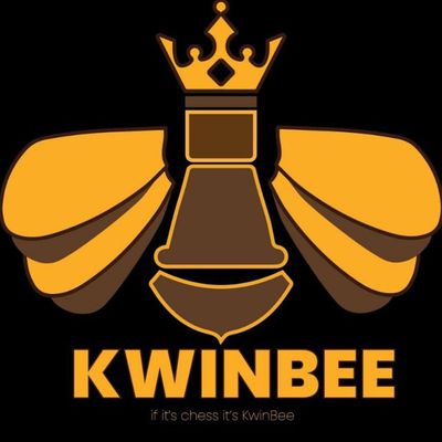 Avatar for Kwinbee 🐝 ( 1:1 Online Chess with Expert)