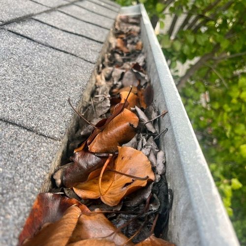 I recently hired Peter to clean our gutters, and I