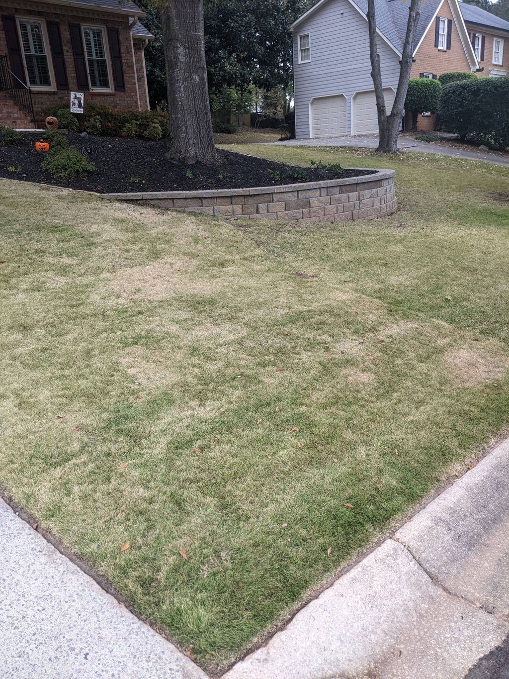 After leaf clean up. 