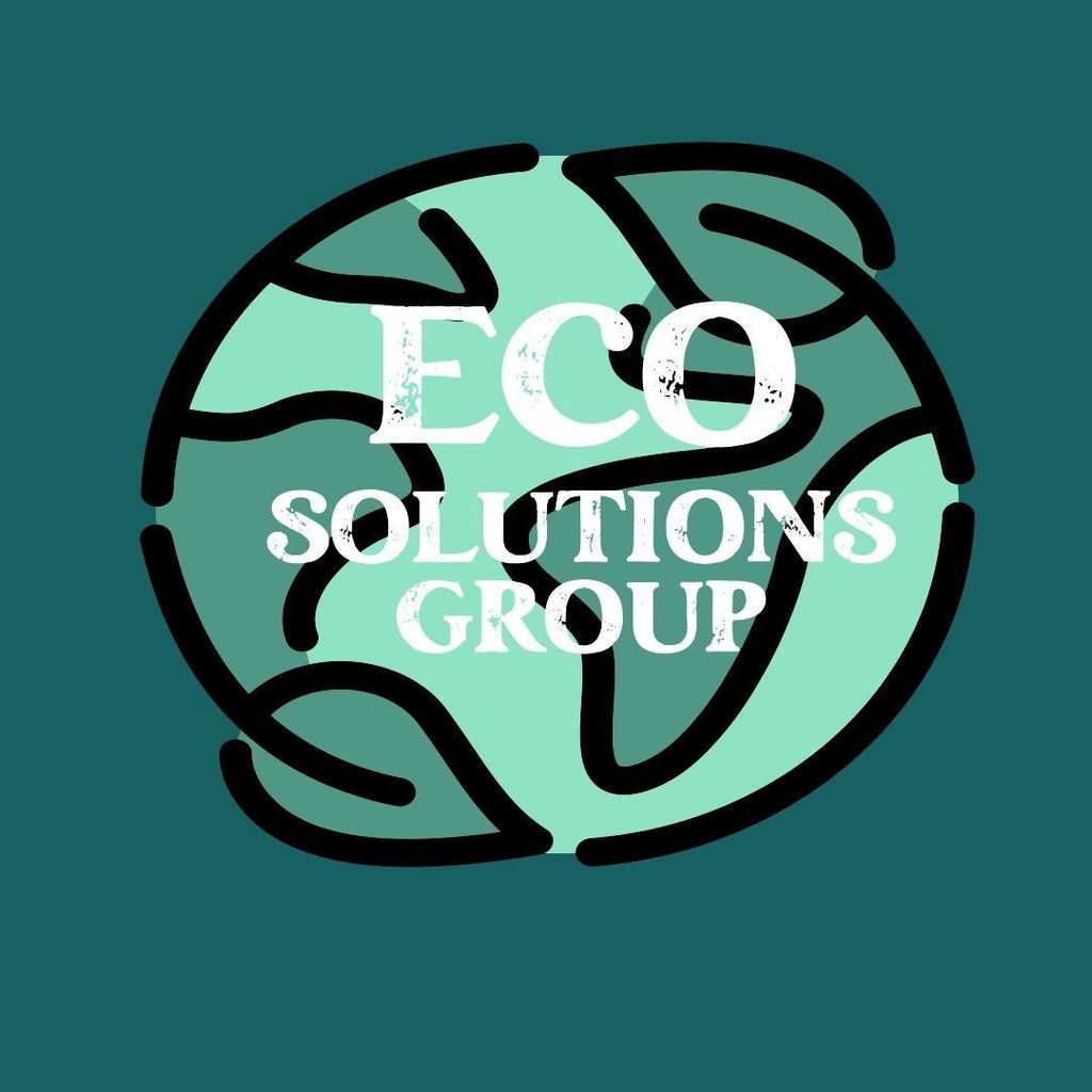 ECO SOLUTIONS GROUP