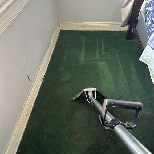 Carpet Cleaning