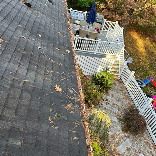 Gutter Cleaning and Maintenance