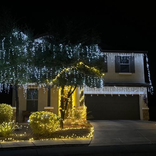 He did a great job putting up our holiday lights. 