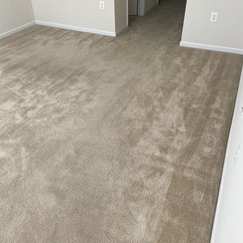 Carpet Cleaning