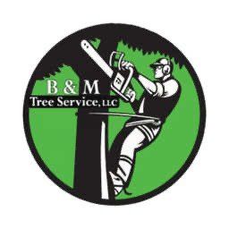 Avatar for B&M TREE SERVICE