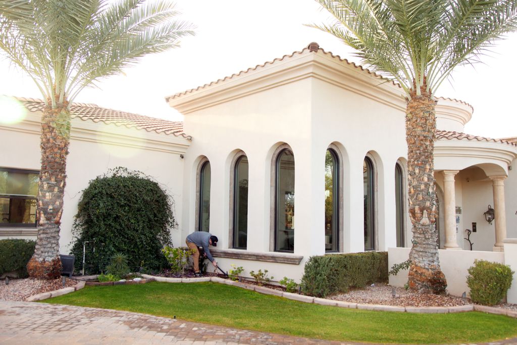 Termite Treatment