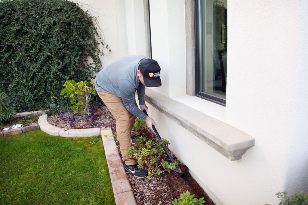 Termite Treatment
