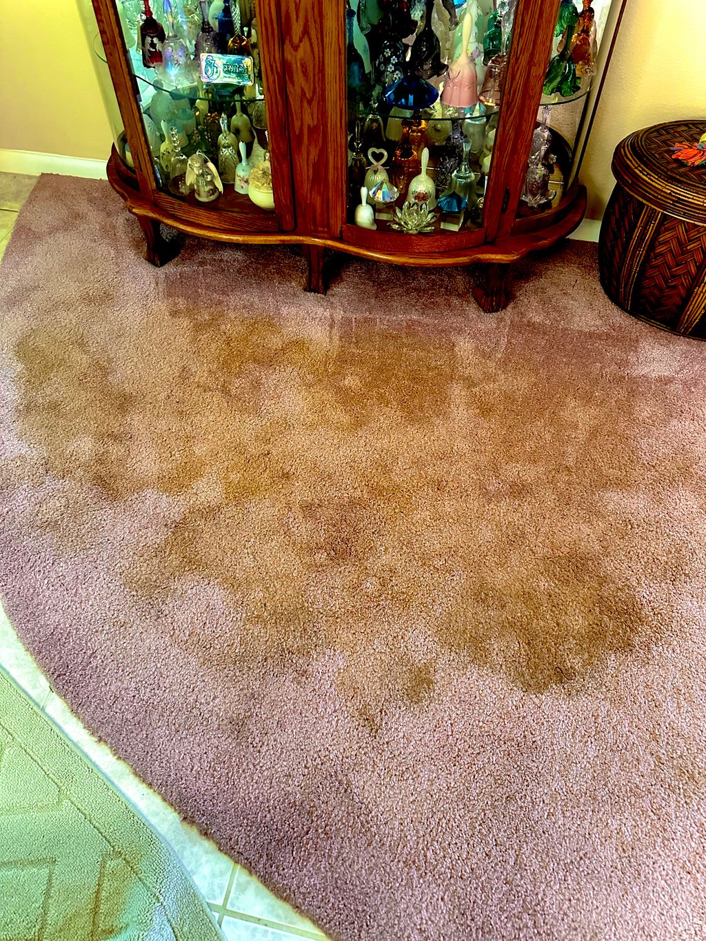 Carpet Cleaning