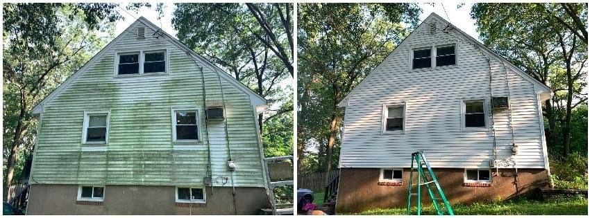 Before and after of soft washing the algae off thi