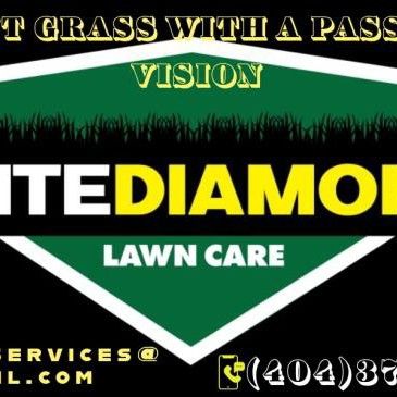 Avatar for Elite Diamond lawncare