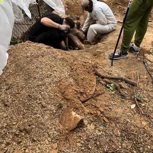 Yaroslav and his team worked tirelessly to dig out