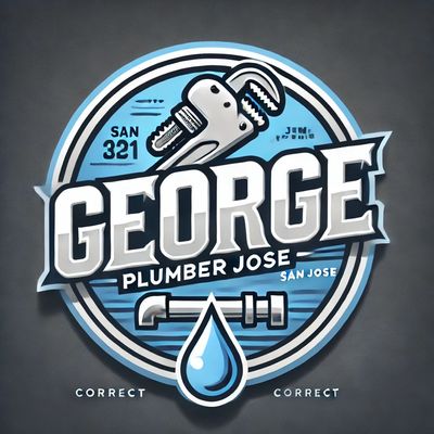 Avatar for George plumber