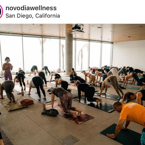 Novo Dia Wellness Day @ MCASD