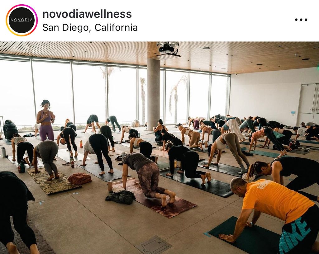 Novo Dia Wellness Day @ MCASD