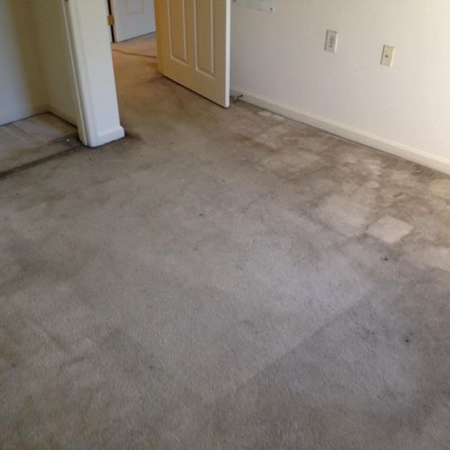 Carpet Cleaning