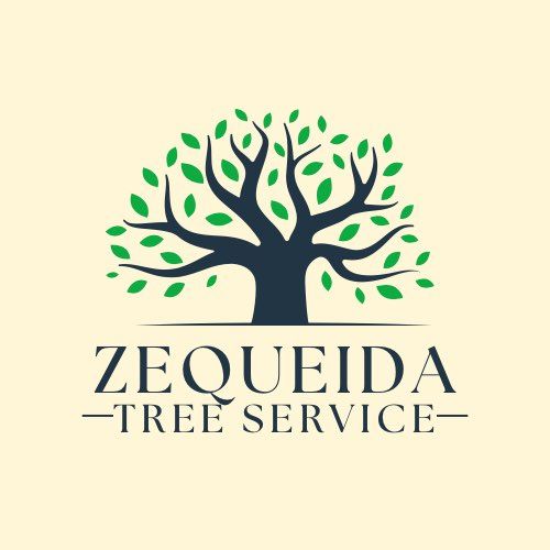 Zequeida Tree service