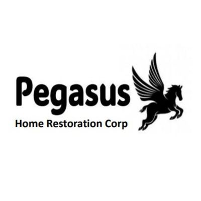 Avatar for Pegasus home restoration