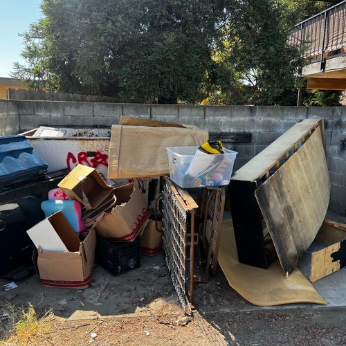 BEFORE: Alley junk removal 