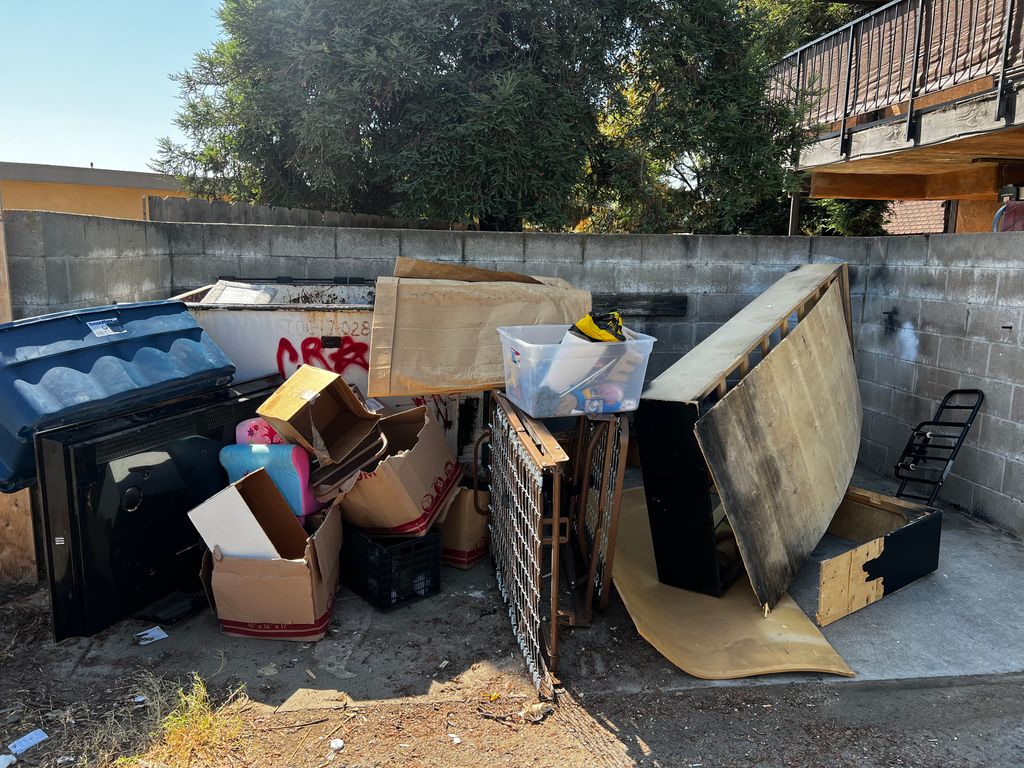 BEFORE: Alley junk removal 