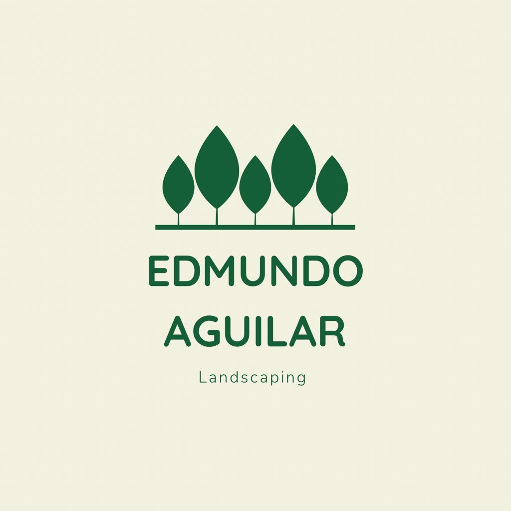 Edmundo Aguilar LLC