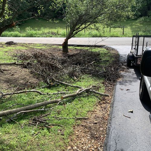 Tree Trimming and Removal