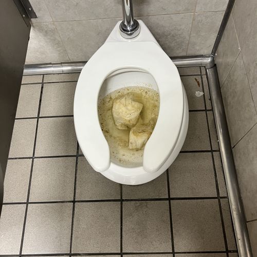 Toilet Repair