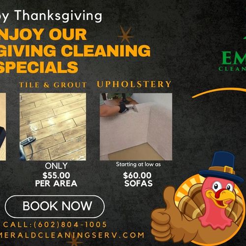 Carpet Cleaning