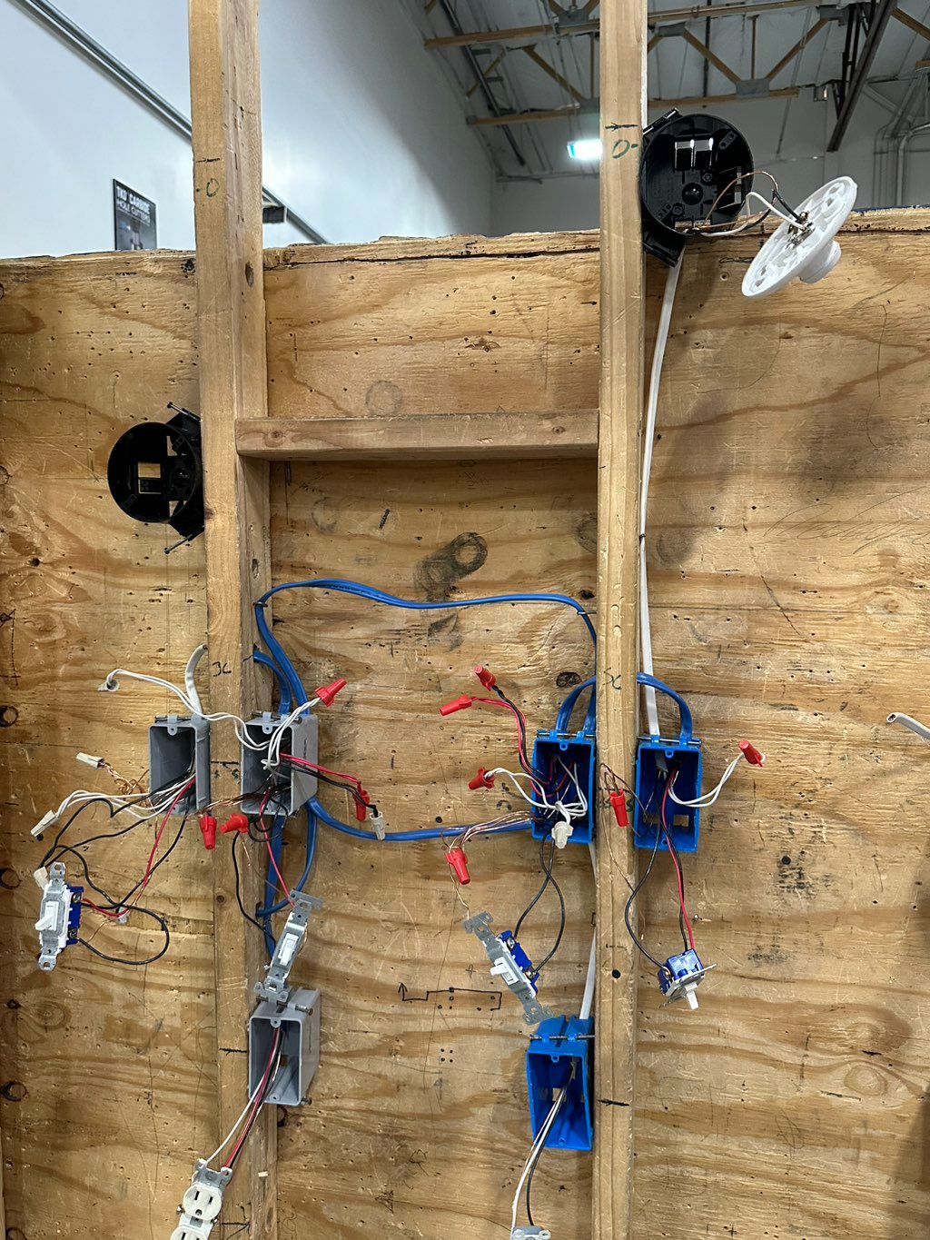 Projects and media