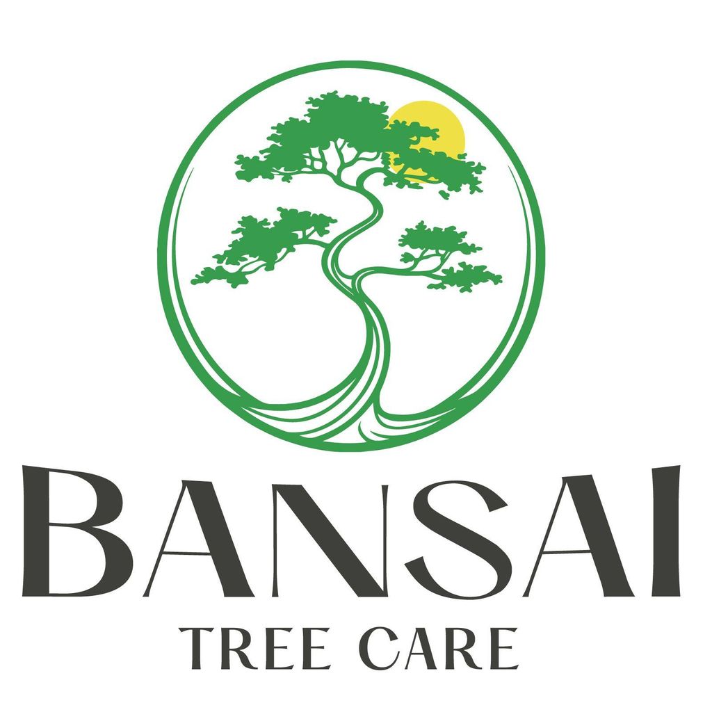 Bansai Tree Care