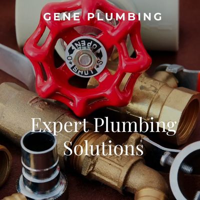 Avatar for Gene Plumbing inc