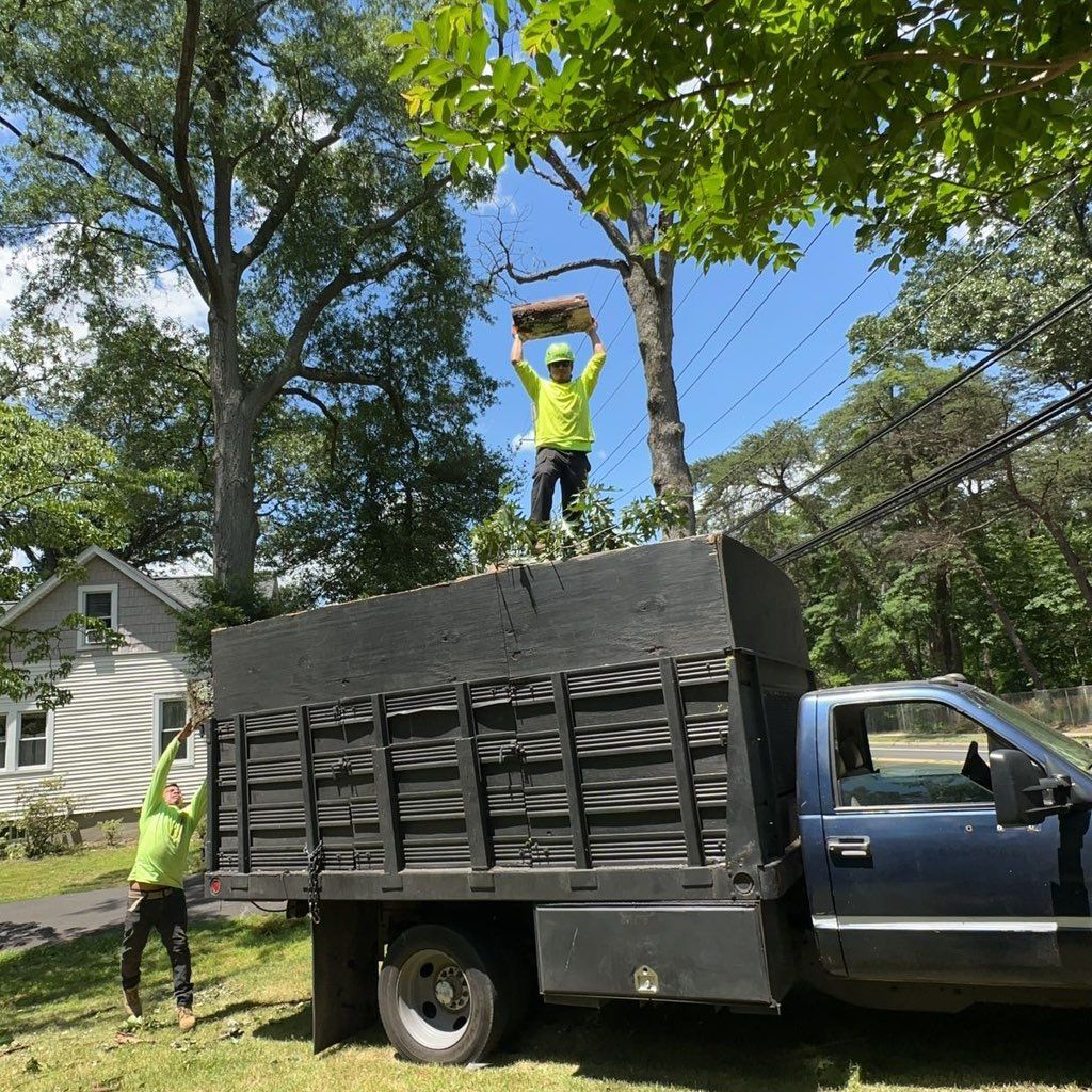 escolero landscaping service llc