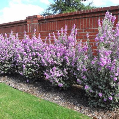 Avatar for The Water Pros, LLC